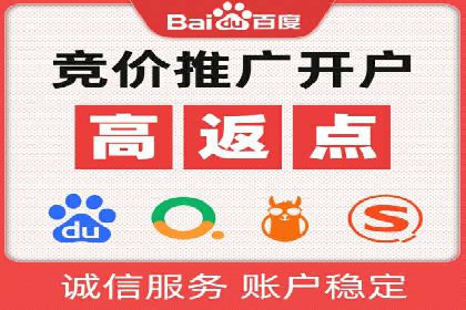 百度竞价排名服务：成功案例解析